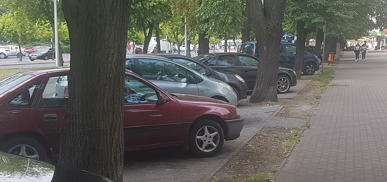 Sztab kandydata o jego plakatach na drzewach. „Zdecydowanie potępiamy takie działania” 