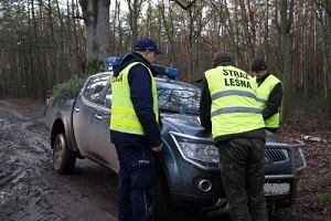 Kawałek po kawałku wywoził szyny kolejowe. Teraz odpowie za kradzież 
