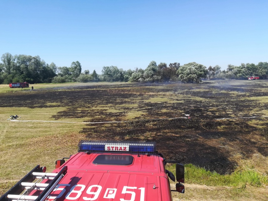 Płoną łąki. 5 strażackich zastępów gasiło suchą trawę na polu 