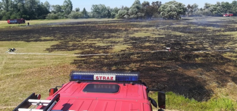 Płoną łąki. 5 strażackich zastępów gasiło suchą trawę na polu 