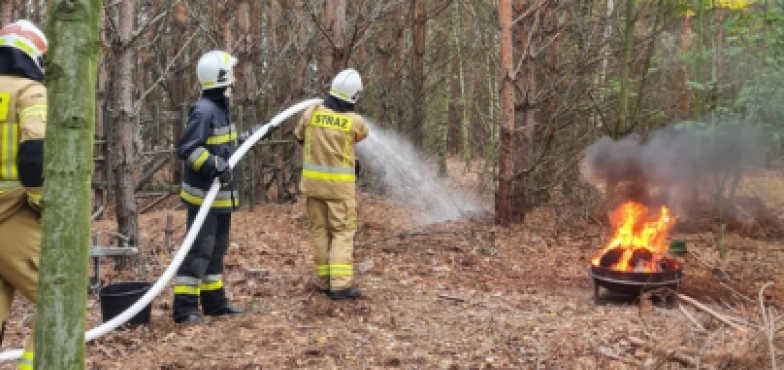 Druhowie na manewrach. Las i stolarnia w zagrożeniu