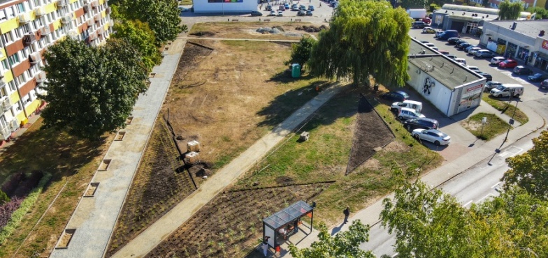 Pierwsze odcinki zielonych korytarzy miejskich już powstają 