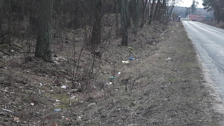 Bałagan przy drodze do Lichenia. Zaśmiecony las i pobocza 