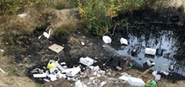 Czarna maź rozlana w lesie. Teren zabezpieczono, zostanie zneutralizowany 