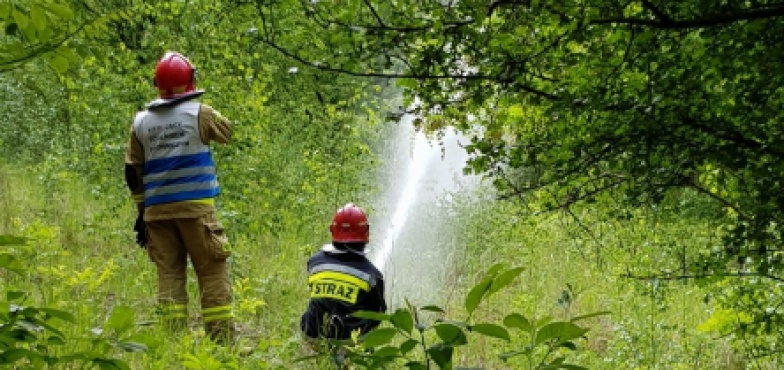 W razie pożaru lasu. Strażacy doskonalili swoje umiejętności 