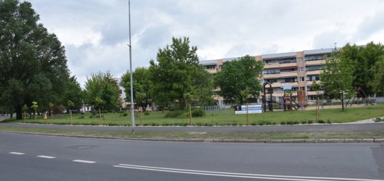 Zamiast placu zabaw powstanie aktywna strefa – liny do wspinaczki i stół do ping-ponga