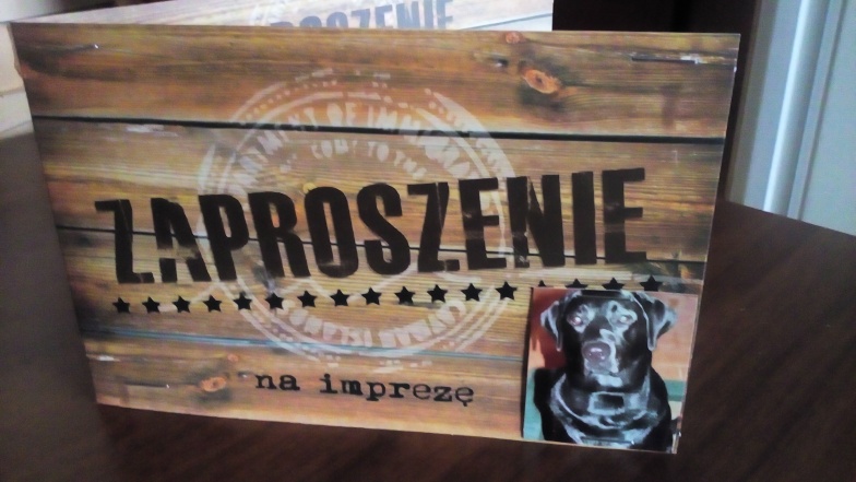 Konińskie psy mają swój plac zabaw i tresury. Oficjalne otwarcie w najbliższą środę