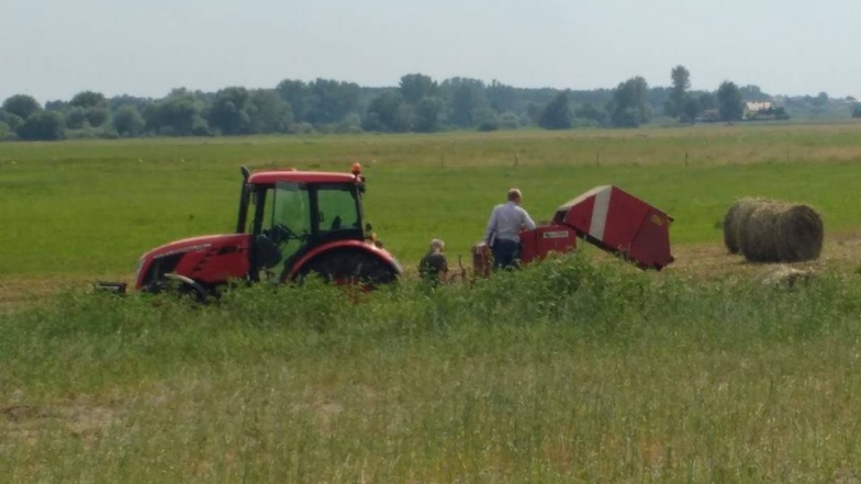Wypadek podczas prac polowych. Maszyna do prasowania siana wciągnęła rękę 30-latka