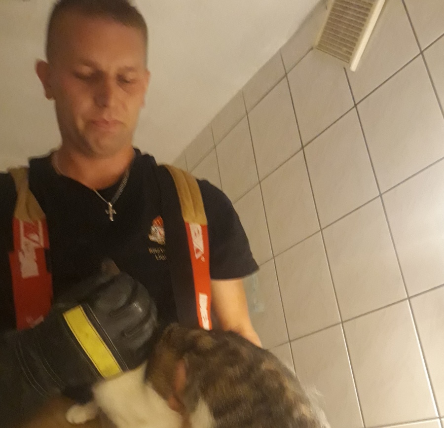 Kot uwięziony w przewodzie wentylacyjnym. Pomogli strażacy  