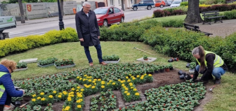 Herb z kwiatów. Rychwalski rynek w barwach żółtych i czerwonych