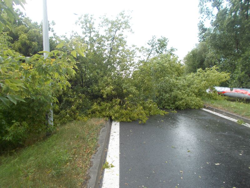 Tydzień strażaków. 78 alarmów i interwencji 