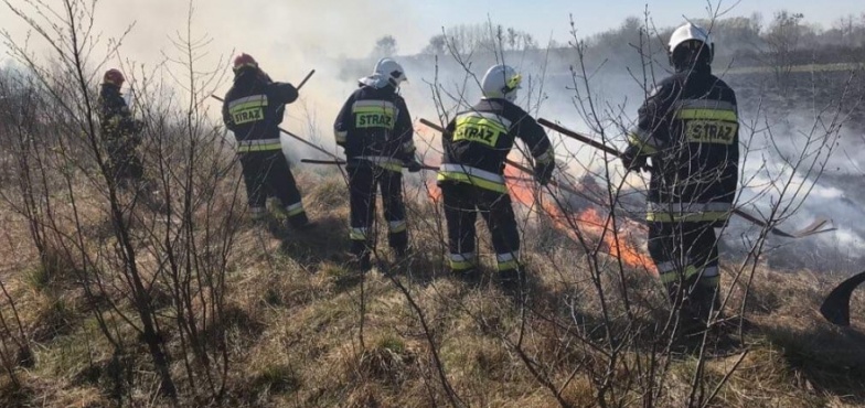Prawdopodobnie ktoś zaprószył ogień. Spłonęły 4 hektary łąk