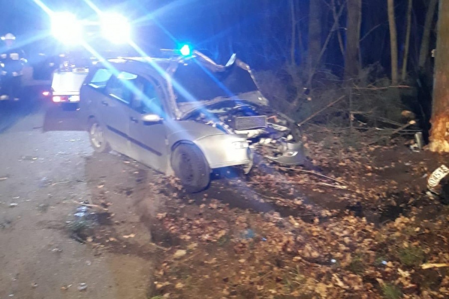 Uderzył w drzewo i uciekł. Pijany bez prawa jazdy kierował kradzionym samochodem