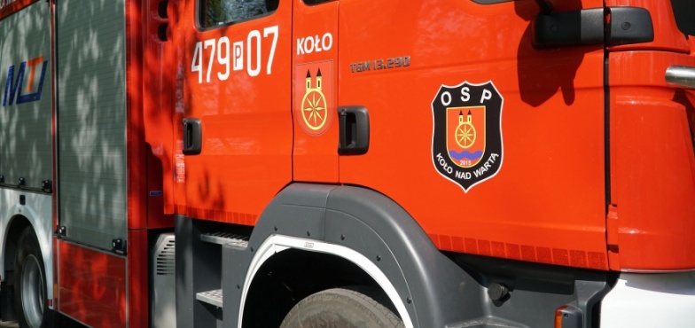 Gołąbek wpadł w tarapaty. Z pomocą przybyli mu strażacy