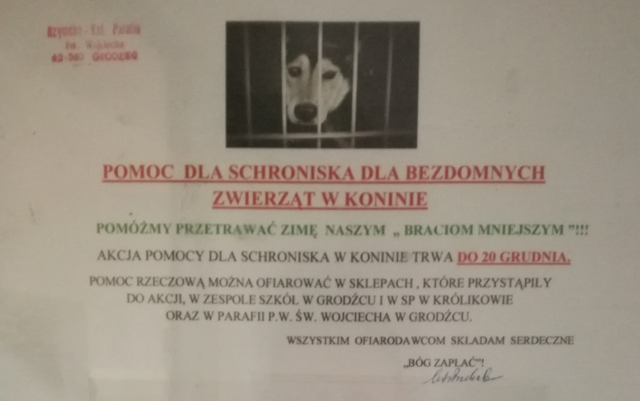 Zwierzęta w schronisku potrzebują naszej pomocy. Zbiórka trwa do 20 grudnia