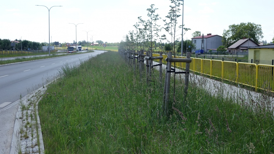 Utrudnienia na nowym odcinku Kleczewskiej. Trzeba wymienić warstwę ścieralną 