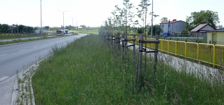 Utrudnienia na nowym odcinku Kleczewskiej. Trzeba wymienić warstwę ścieralną 