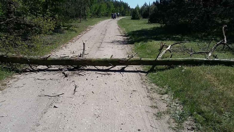 Kapryśna majowa pogoda i ludzka bezmyślność. Strażacy jeżdżą do powalonych drzew i pożarów traw  
