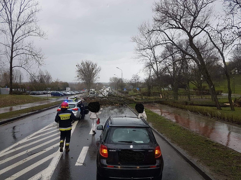 Strażacy podsumowali tydzień służby. 37 wezwań o pomoc