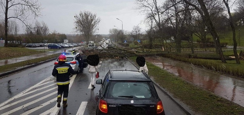 Strażacy podsumowali tydzień służby. 37 wezwań o pomoc