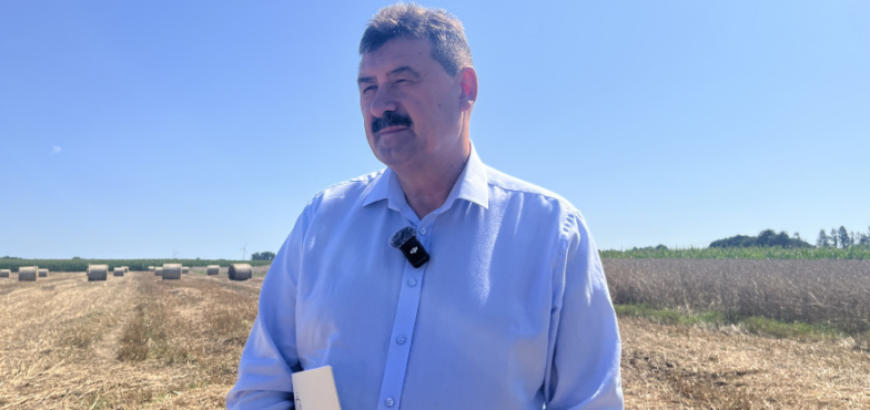 Są żniwa, nie ma gdzie sprzedać zboża? Poseł o KPO, partyjnych wizytach i elektrowni jądrowej