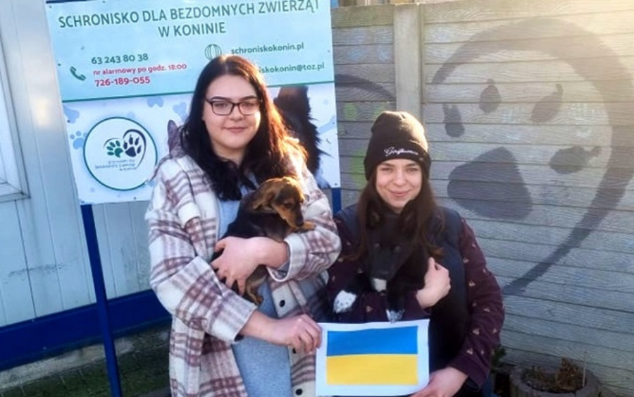 Schronisko dla Bezdomnych Zwierząt w Koninie będzie pomagać zwierzętom z Ukrainy