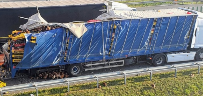 Ruch pasem awaryjnym. Na autostradzie A2 zderzyły się dwa TIR-y