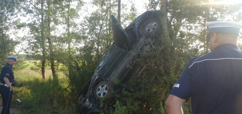 Wypadł z drogi i zatrzymał się na drzewie