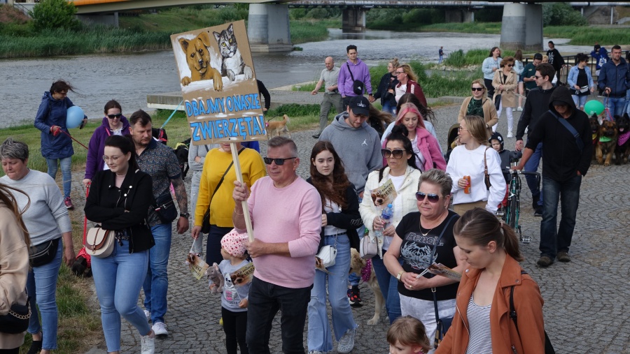 Parada Kundelków i nie tylko. Będą dyplomy za klapnięte uszko, szczery uśmiech i puszyste futerko