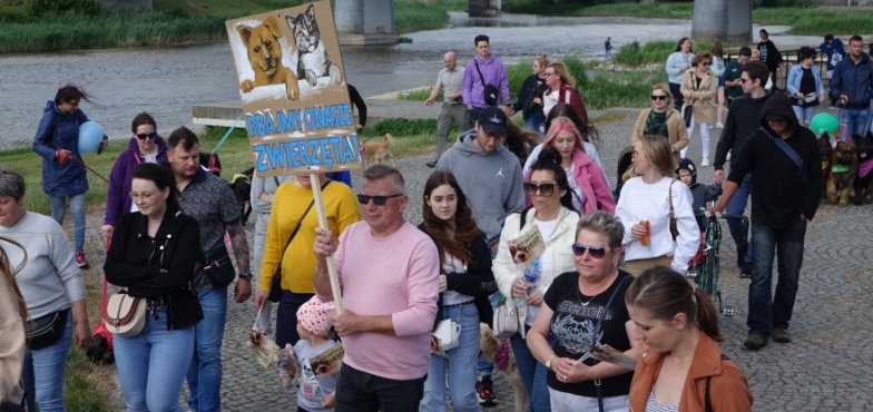 Parada Kundelków i nie tylko. Będą dyplomy za klapnięte uszko, szczery uśmiech i puszyste futerko