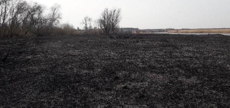 Strażacy podsumowali tydzień służby. Więcej pożarów