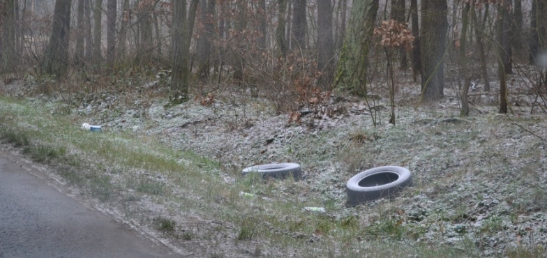 Śmieci przy drodze. Co wita pielgrzymów z Polski i zagranicy