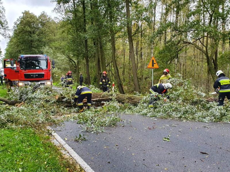 Strażacy podsumowali tydzień. W akcji 99 razy