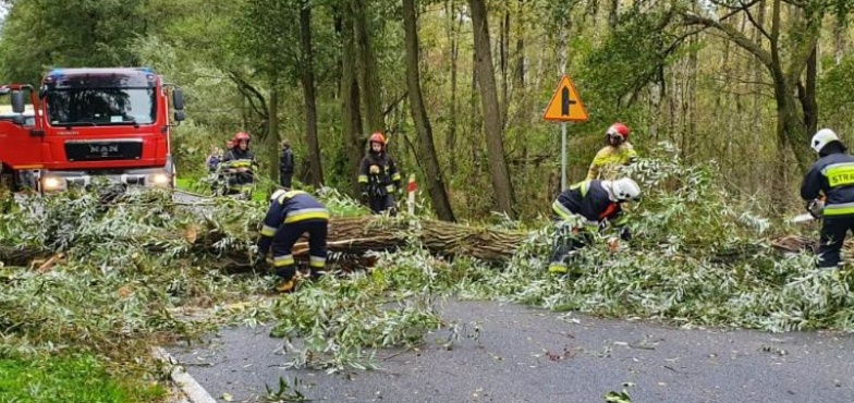 Strażacy podsumowali tydzień. W akcji 99 razy