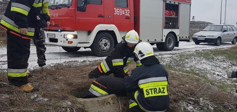 Strażacy uratowali psa. Wpadł do studzienki