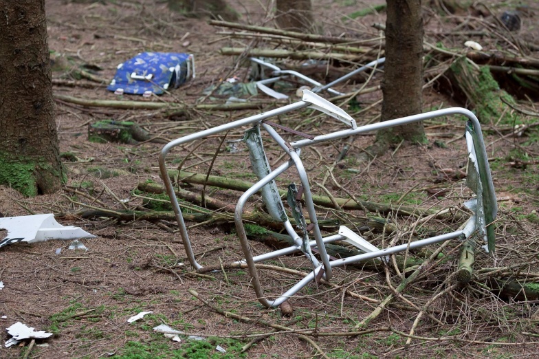 Robią zdjęcia śmiecącym w lesie i wandalom. Gmina kupiła fotopułapkę