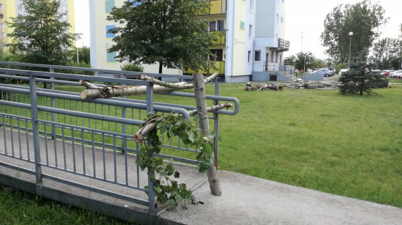 Spomiędzy bloków zniknęła topola. Żartowniś wykorzystał jej konary do zablokowania podjazdu