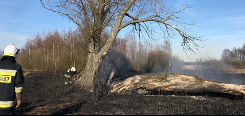 Spłonęły 2 hektary łąk. Strażacy przypominają, że wypalanie traw jest niezgodne z prawem  