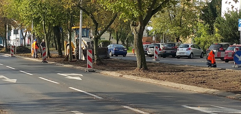 Na Dworcowej znów zakwitną tulipany. Prowadzone są nasadzenia 