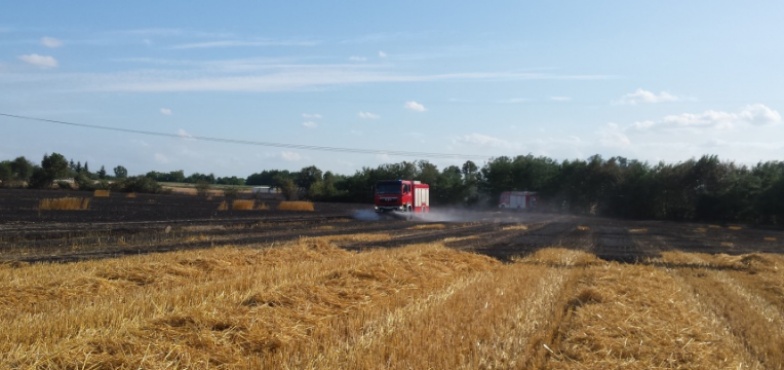 Strażacy podsumowali tydzień służby. Więcej wyjazdów, więcej pożarów