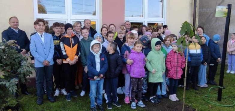 Tokarmistrz, Skarżysław, Młodzianowiec, Kowalak i Bociuś zapuszczają korzenie