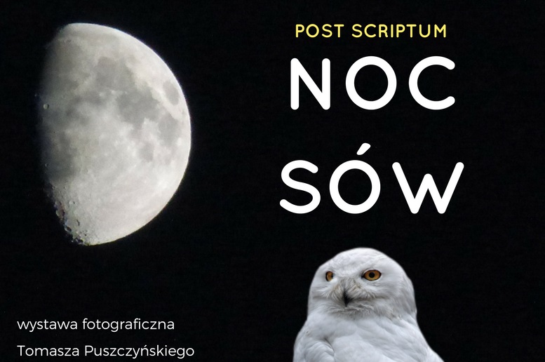 Post scriptum - Noc Sów 