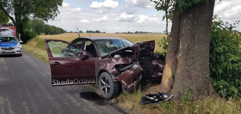 Wypadł z drogi i uderzył w drzewo. Kierowca trafił do szpitala 