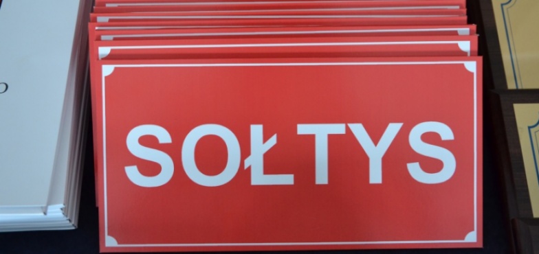 Kto zostanie sołtysem? Startuje maraton wyborczy 