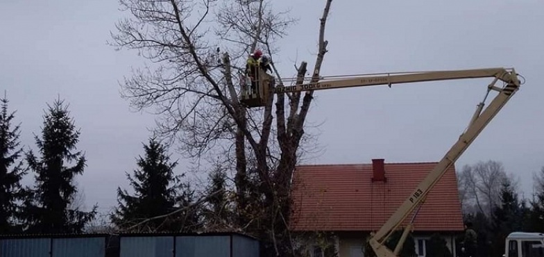 Kawałek po kawałku aż do pnia. Drzewo zagrażało kierowcom i działkowcom 