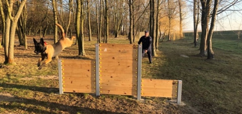 Pies wyszkolony do wykrywania narkotyków rozpoczął służbę. Mika już w akcji