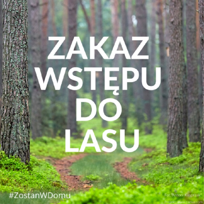 „Las poczeka, dbaj o zdrowie". Od dziś do 11 kwietnia obowiązuje zakaz wstępu