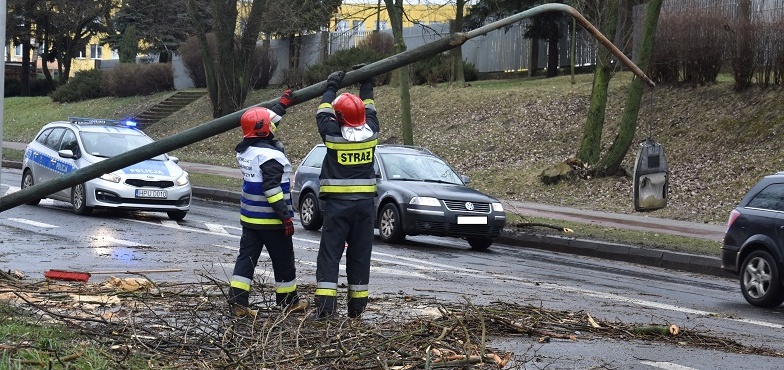 Wiatr przewrócił drzewo na ulicę Przemysłową. Policja kieruje ruchem 