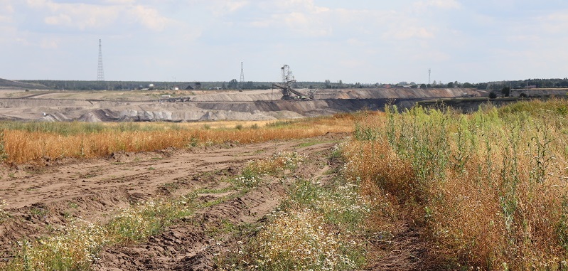 Elektrownia wycofuje się z budowy odkrywki „Ościsłowo”