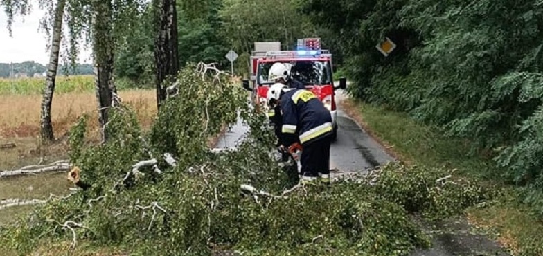 Kilkanaście wezwań po burzy. Strażacy usuwają gałęzie, pomogli też na Jeziorze Budzisławskim 